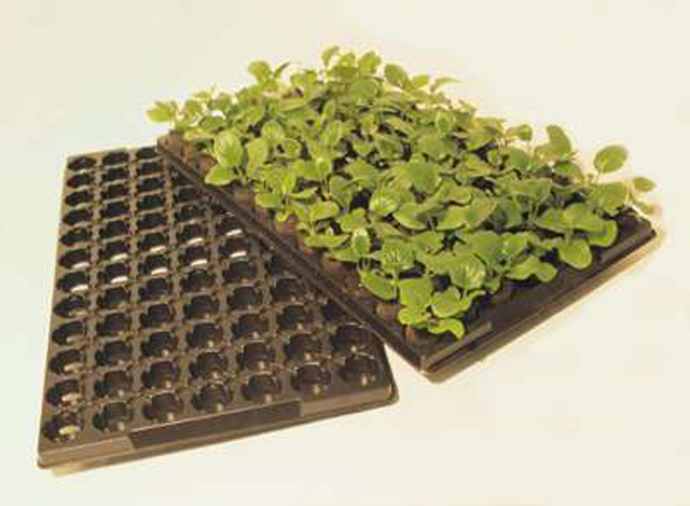 Jiffy 7 Pellets 33mm in Tray Jiffy 7 Pellets Peat Pots